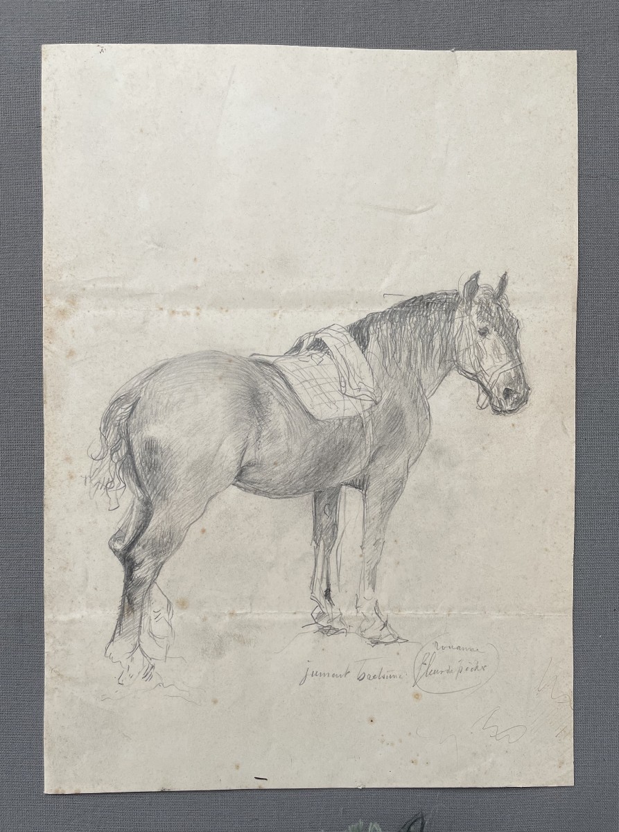 Jument bretonne, dessin, XIXe