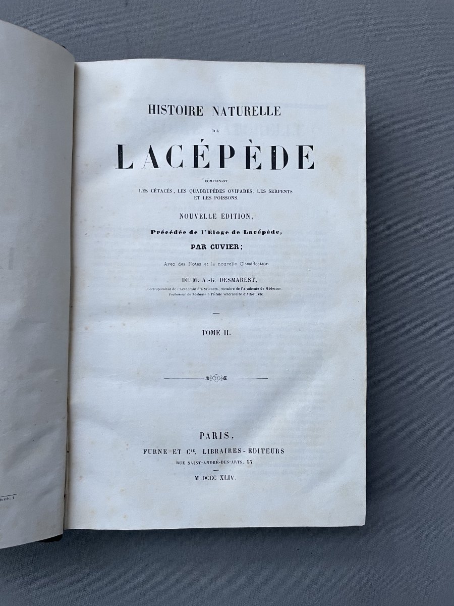 Natural History Of Lacépède: Cetaceans, Oviparous Quadrupeds, Snakes And Fish-photo-4