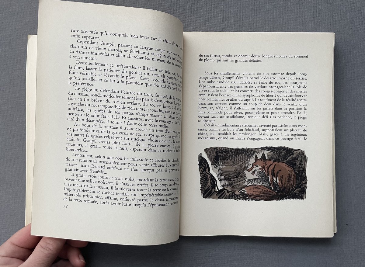 ‎De Goupil à Margot, Louis Pergaud, illustré par André Collot-photo-1