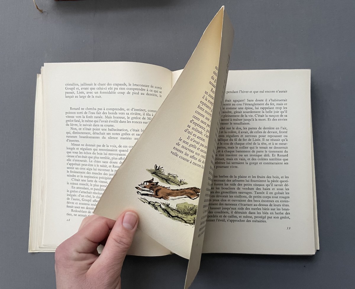 ‎De Goupil à Margot, Louis Pergaud, illustré par André Collot-photo-2