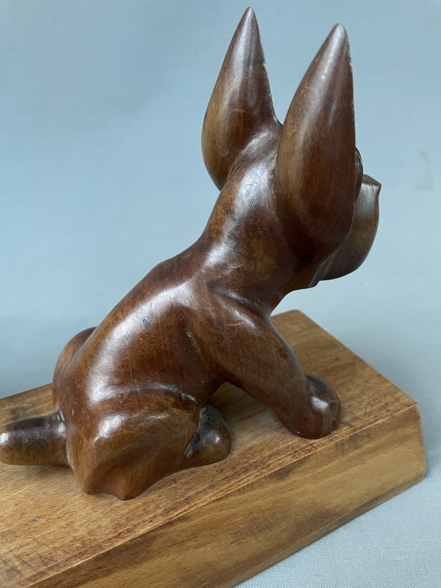 Serre livres, chiens-photo-4