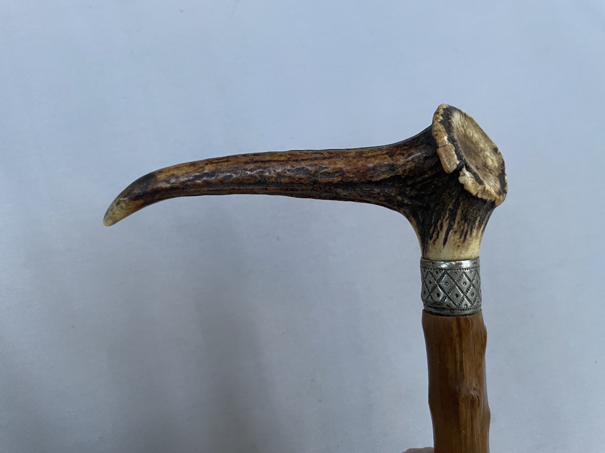 Canne à pommeau en andouiller de cerf-photo-3