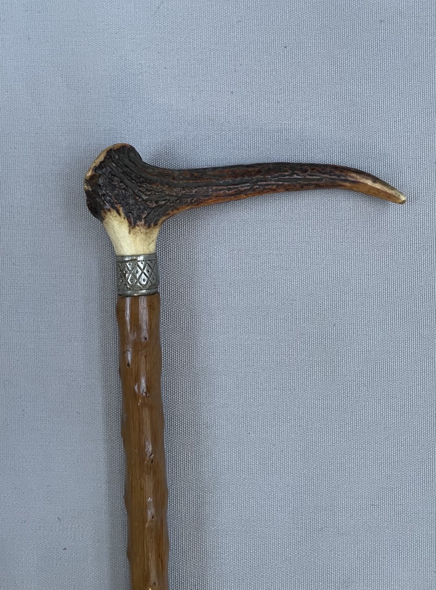 Canne à pommeau en andouiller de cerf