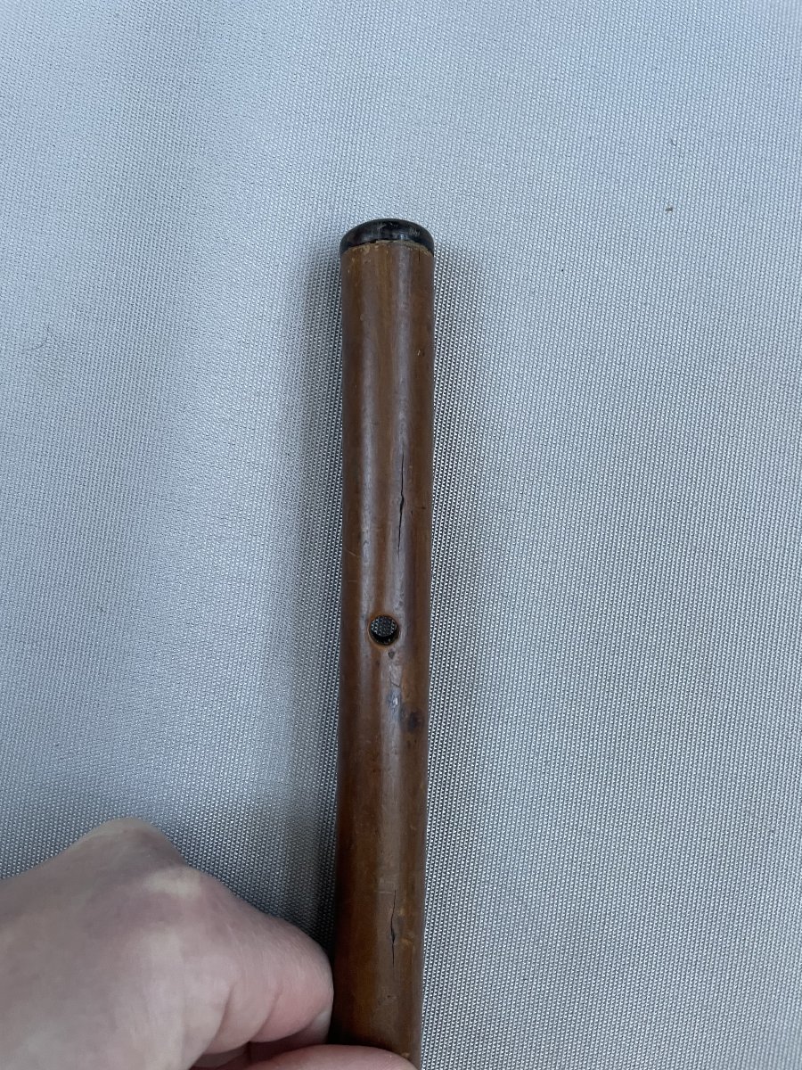 Canne, pommeau serti d'une tête de lévrier en or?-photo-3