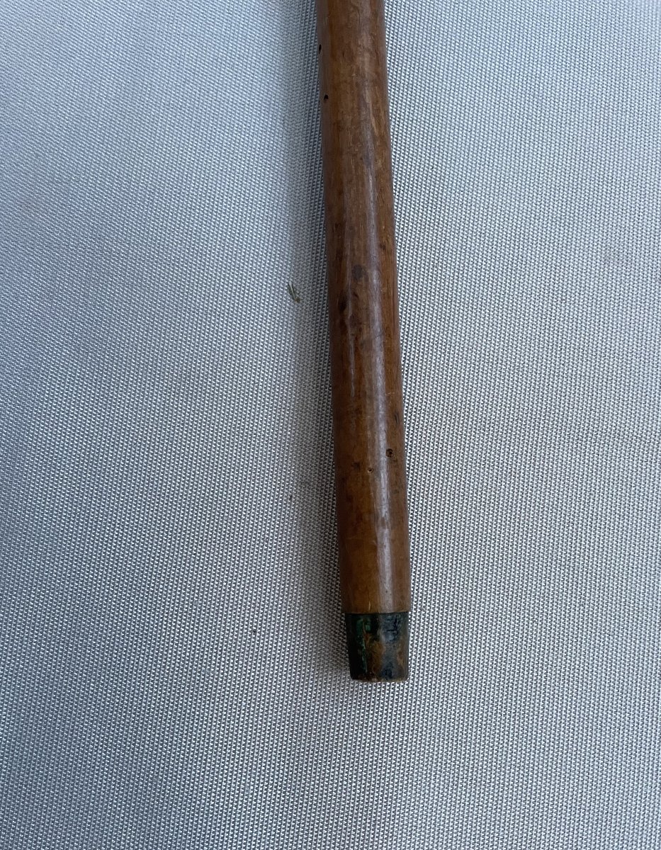 Canne, pommeau serti d'une tête de lévrier en or?-photo-4