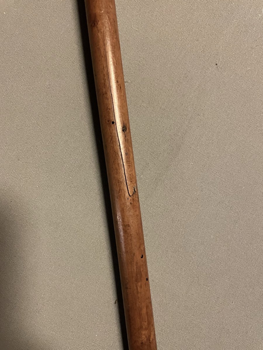 Canne, pommeau serti d'une tête de lévrier en or?-photo-1