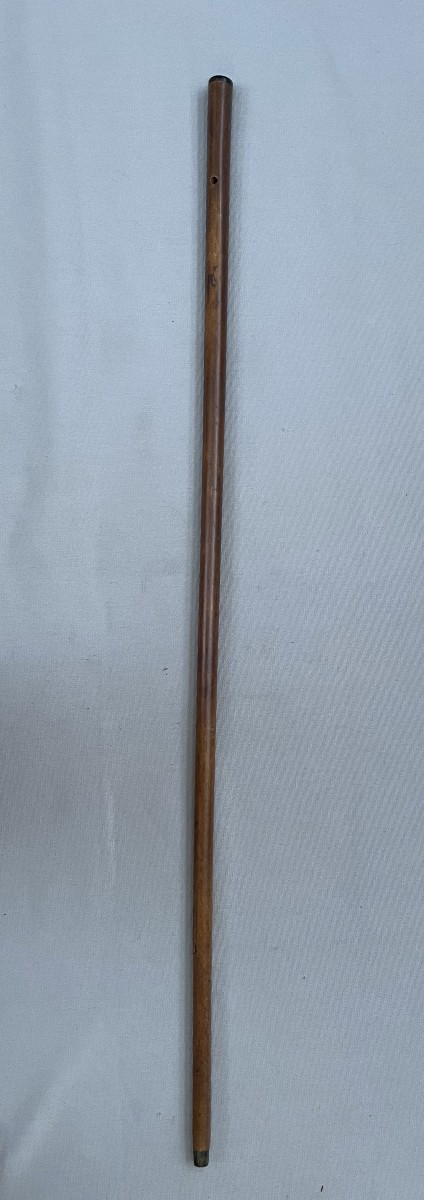 Canne, pommeau serti d'une tête de lévrier en or?