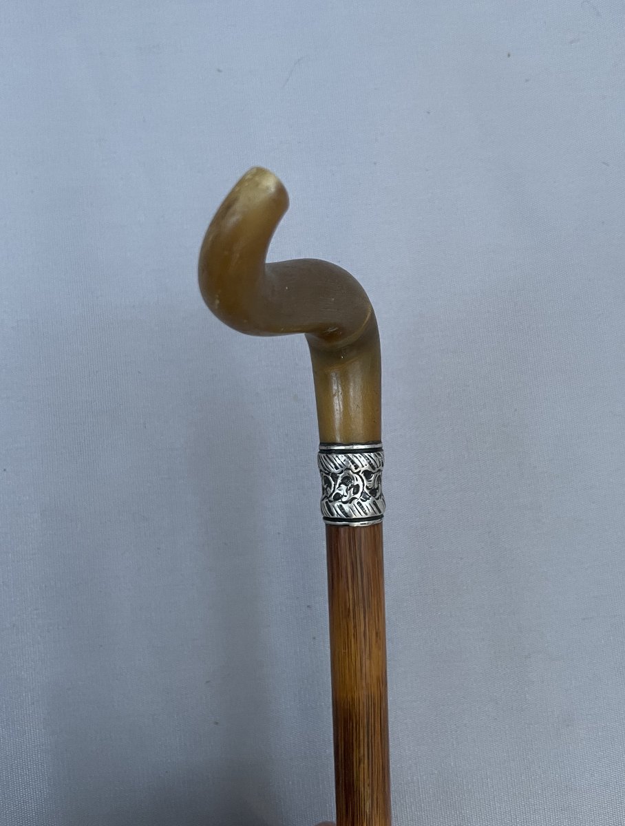 Walking Stick, Horn Handle-photo-3
