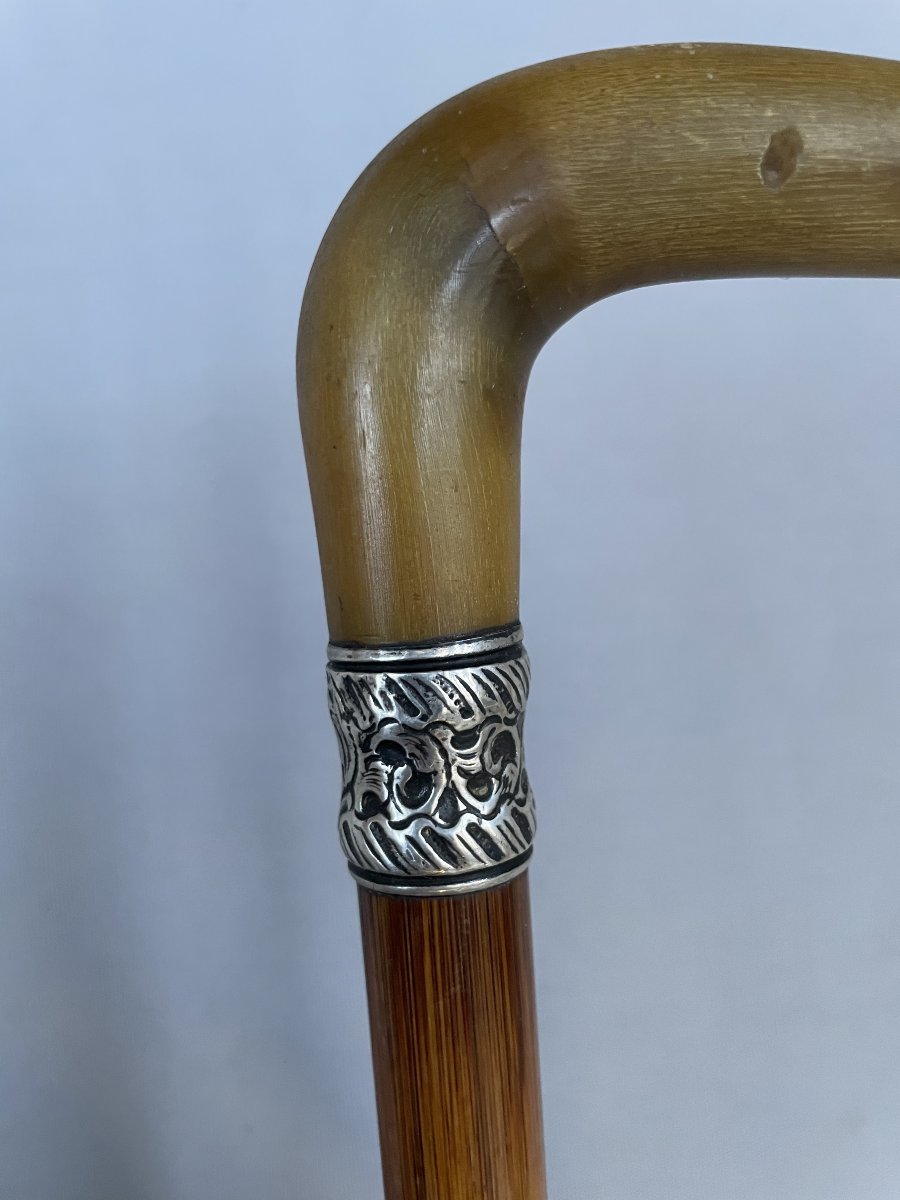 Walking Stick, Horn Handle-photo-4