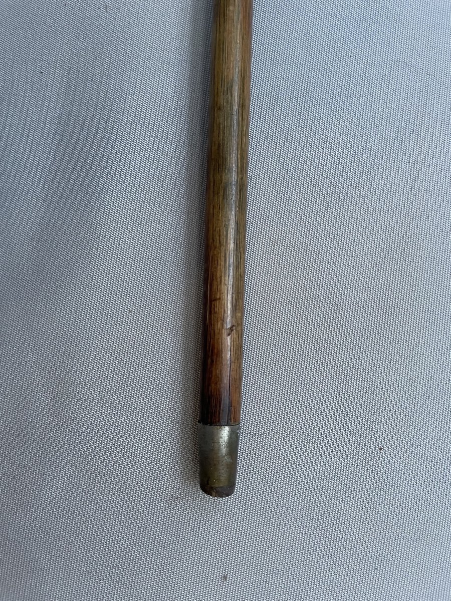 Walking Stick, Horn Handle-photo-1