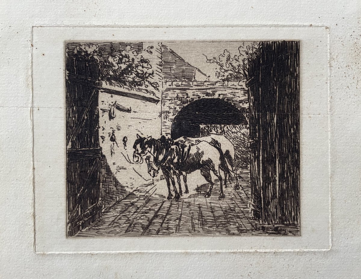 Chevaux, eau forte, signature à déchiffrer-photo-2