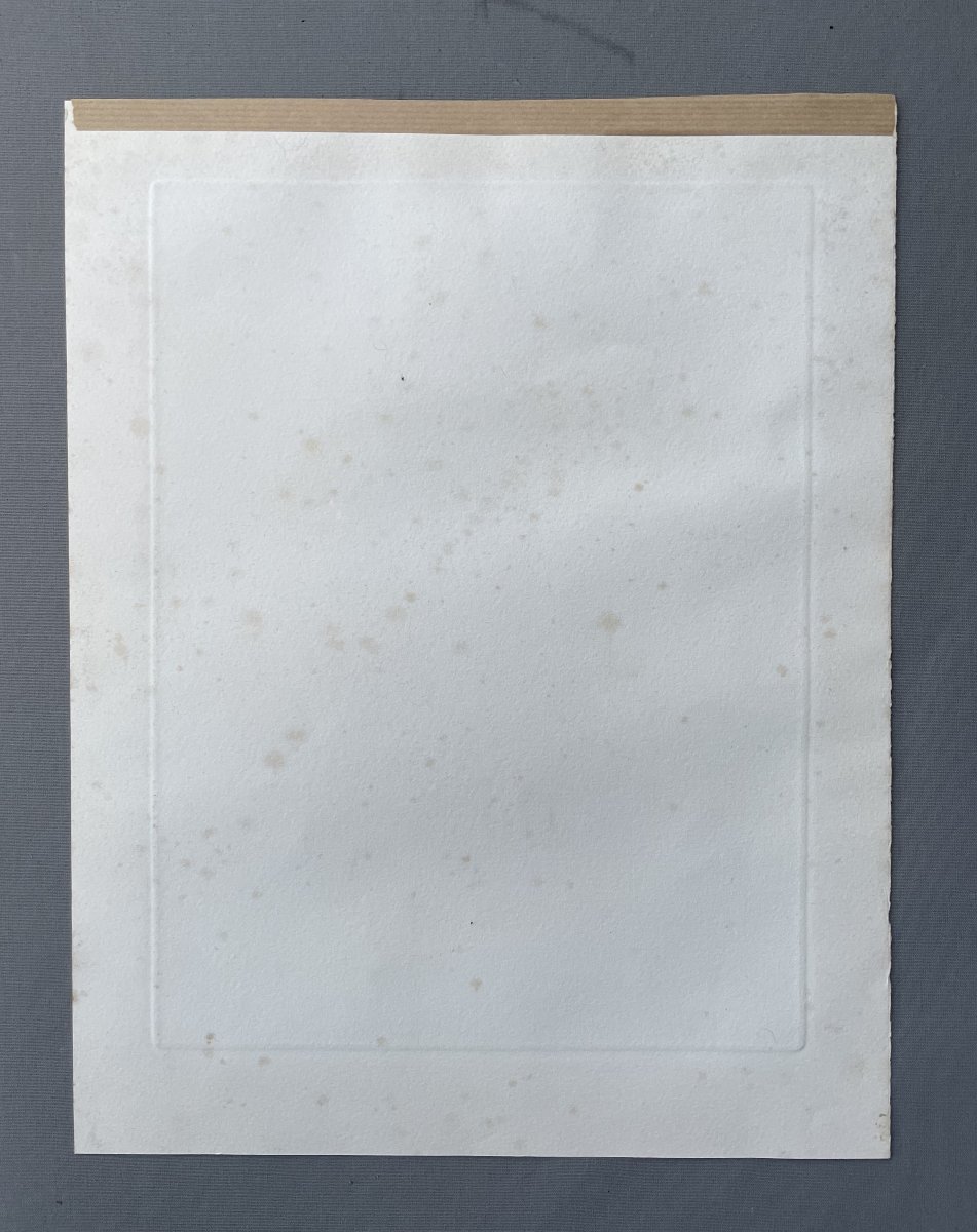 Riab, chiens de chasse, gravure-photo-4