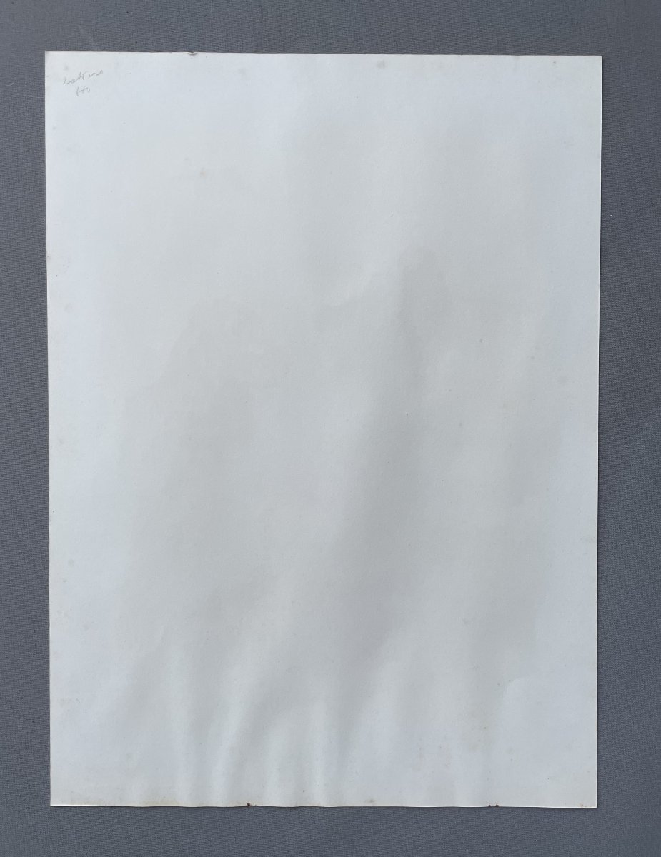 Léon Danchin, chiens de chasse, estampe-photo-3