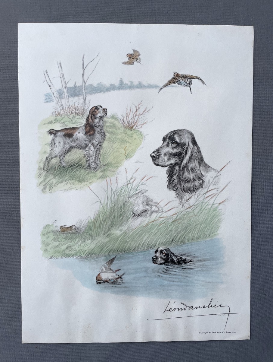 Léon Danchin, chiens de chasse, estampe