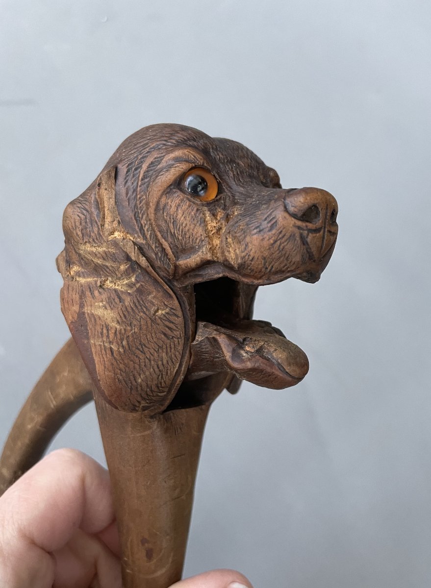 Dog-headed Nutcracker, Black Forest-photo-4