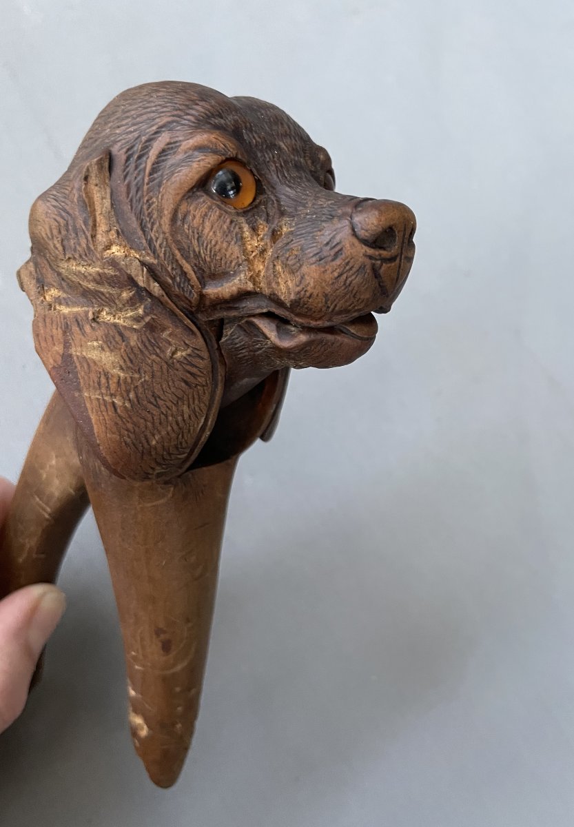 Dog-headed Nutcracker, Black Forest-photo-2