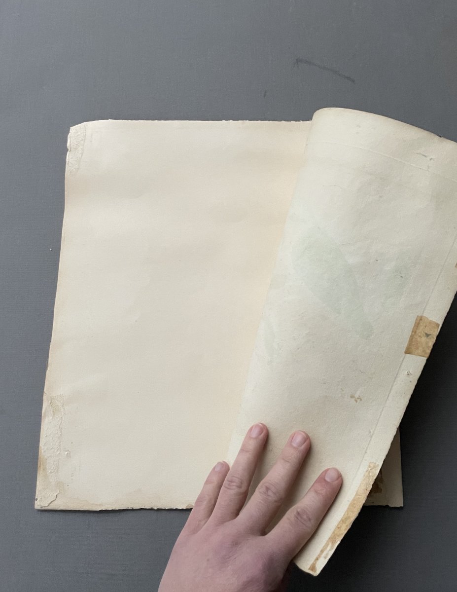 Martin pêcheur, gravure par Martinet-photo-2