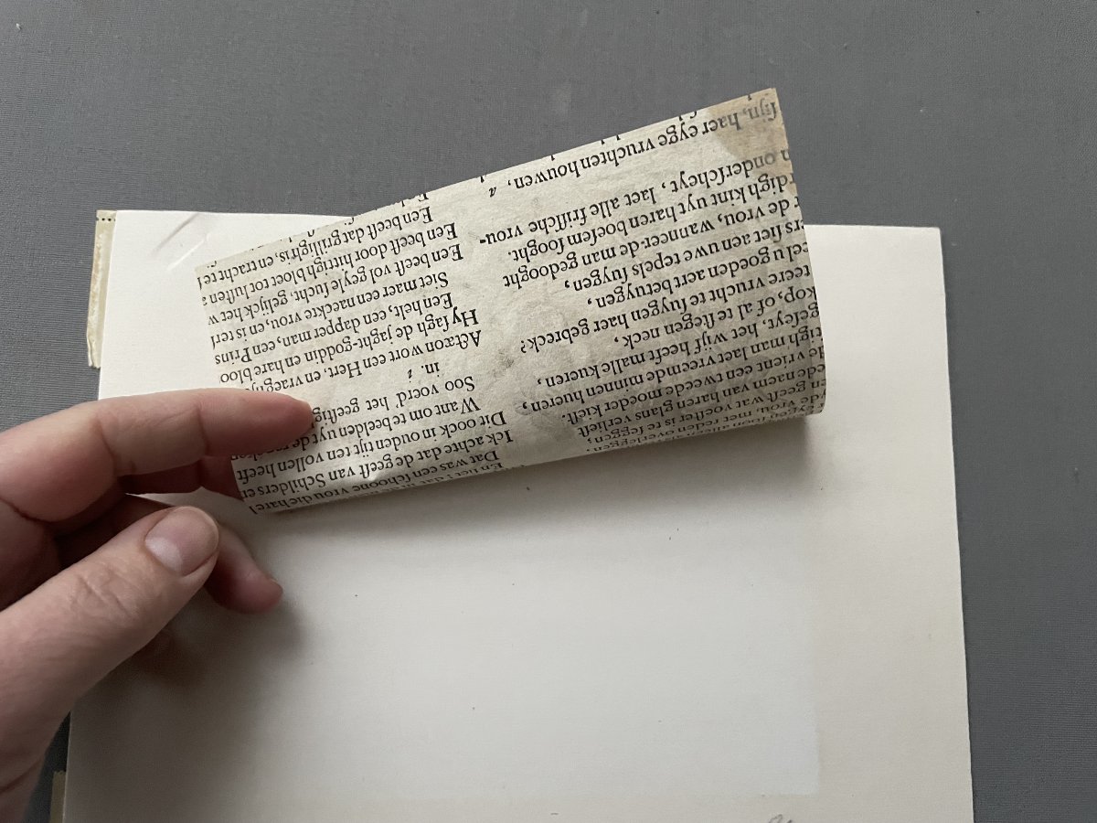 La chasse au loup-photo-3