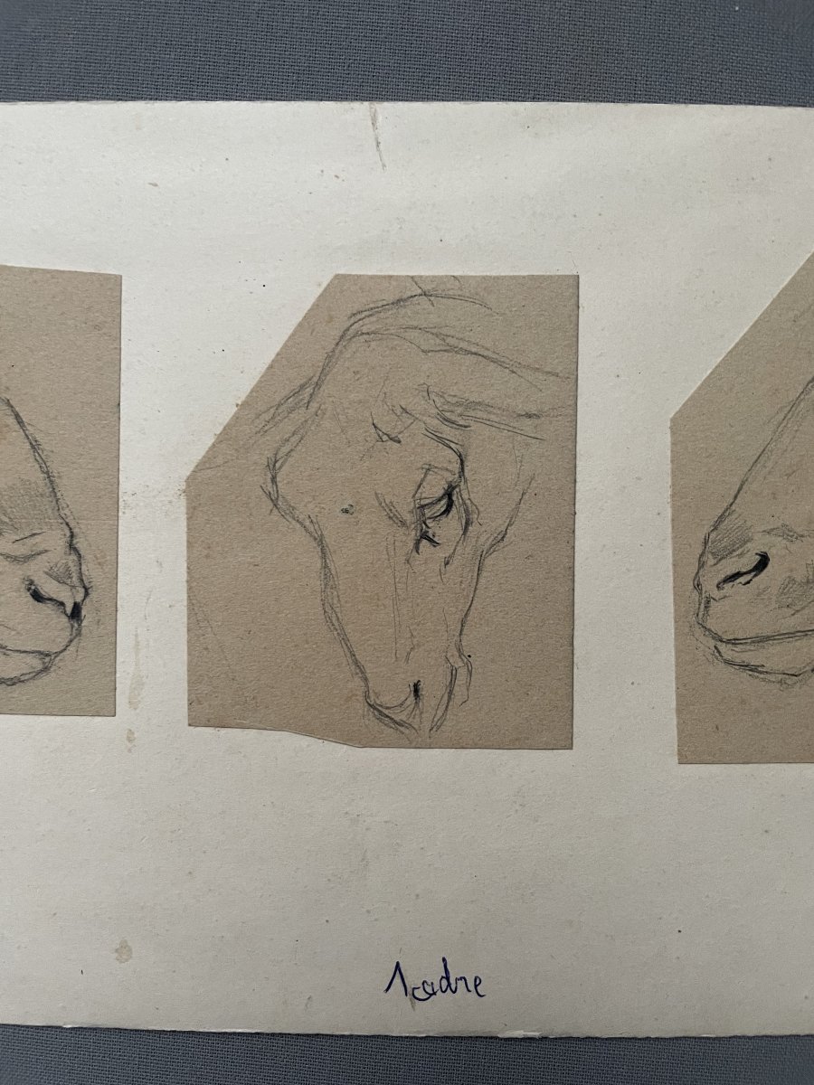 Têtes de mouton, dessin attribué à Ferdinand Oger-photo-3