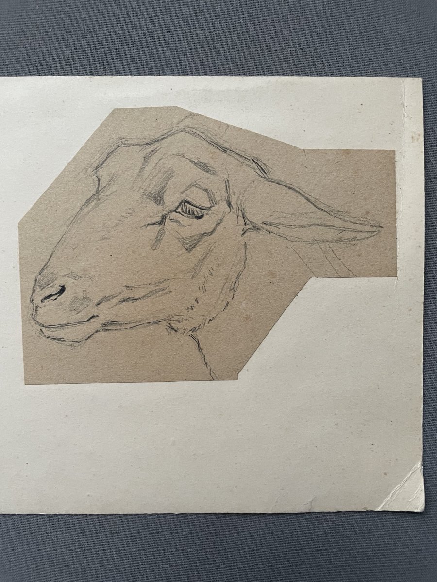 Têtes de mouton, dessin attribué à Ferdinand Oger-photo-4