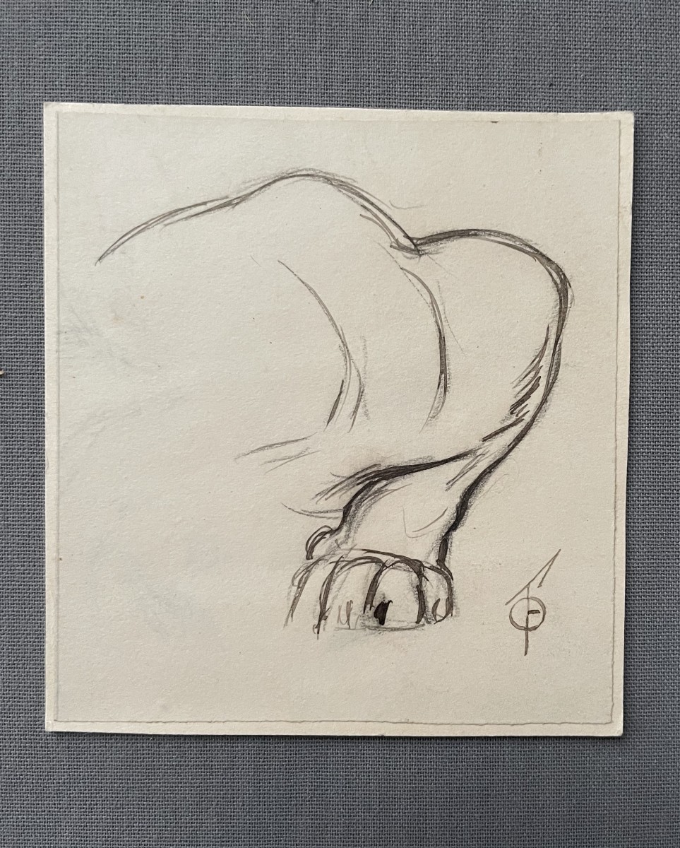 Ferdinand Oger, Feline Paw