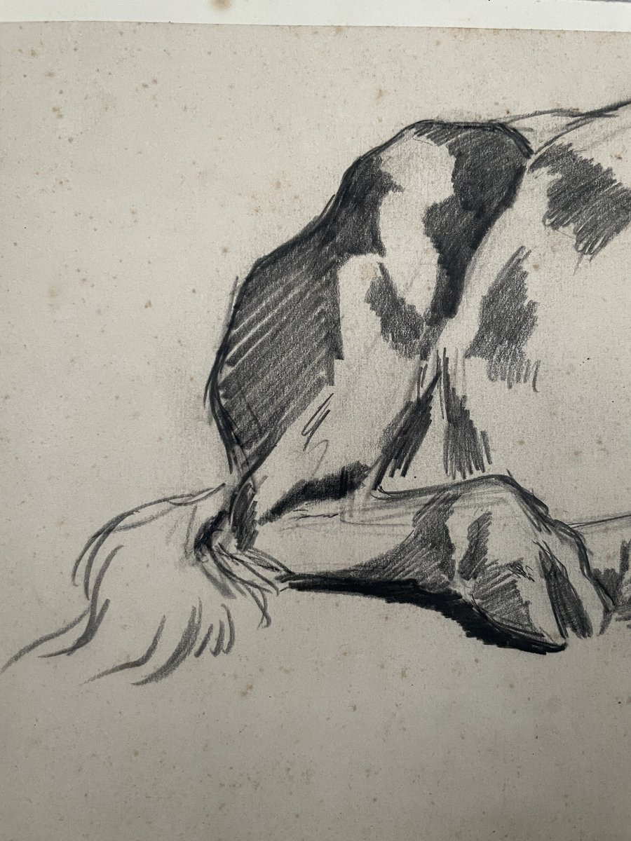 Cow Hooves, Drawing Attributed To Ferdinand Oger-photo-2