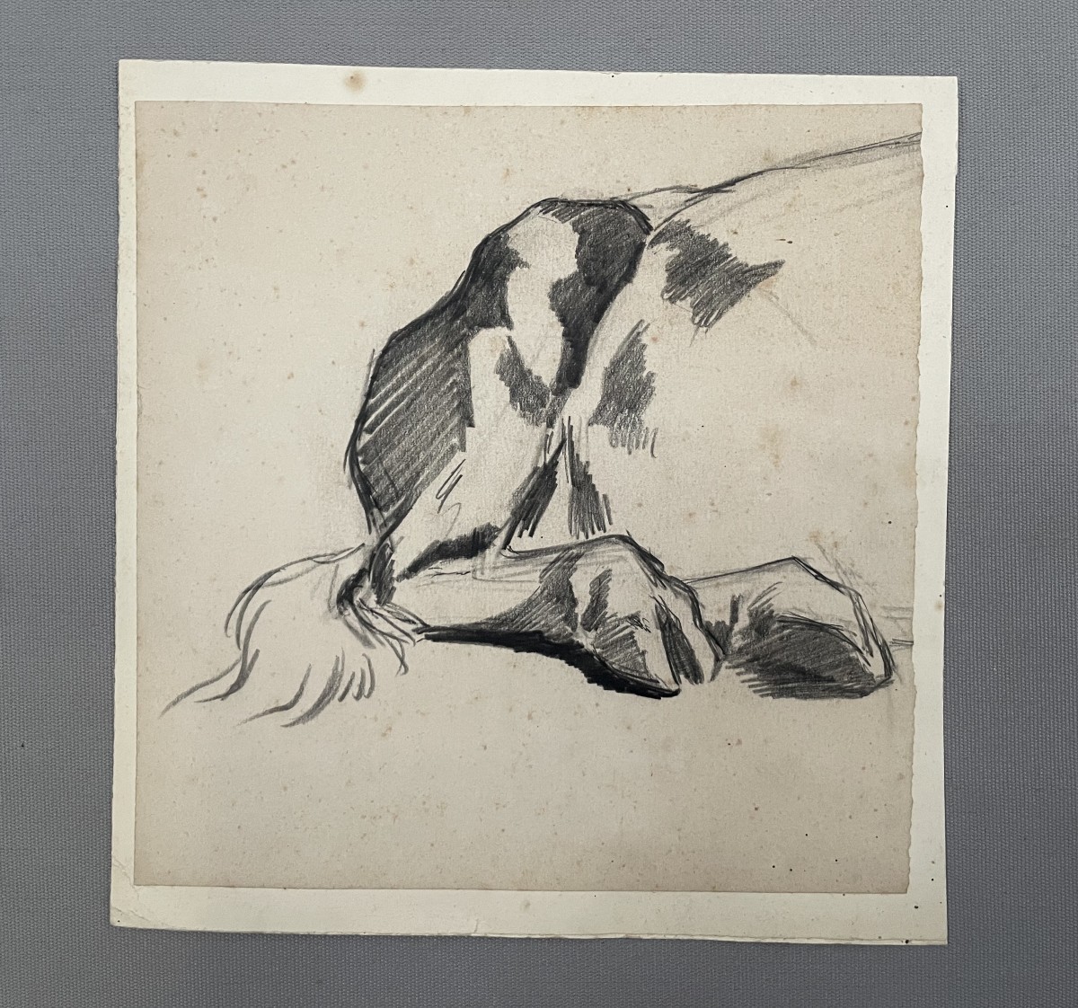 Cow Hooves, Drawing Attributed To Ferdinand Oger