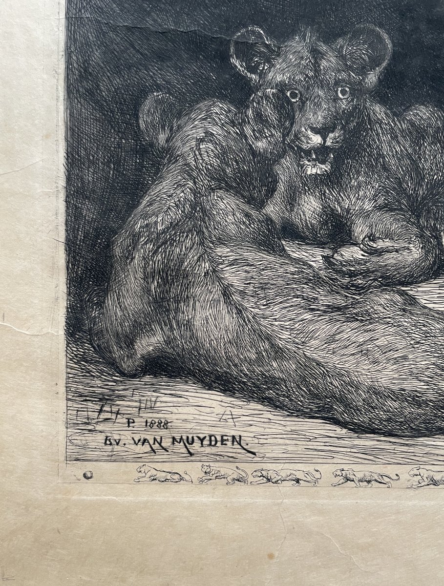 Evert Van Muyden, Lioness With Three Cubs, Signed And Dedicated Engraving-photo-2