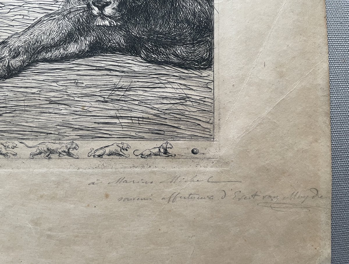 Evert Van Muyden, Lioness With Three Cubs, Signed And Dedicated Engraving-photo-3