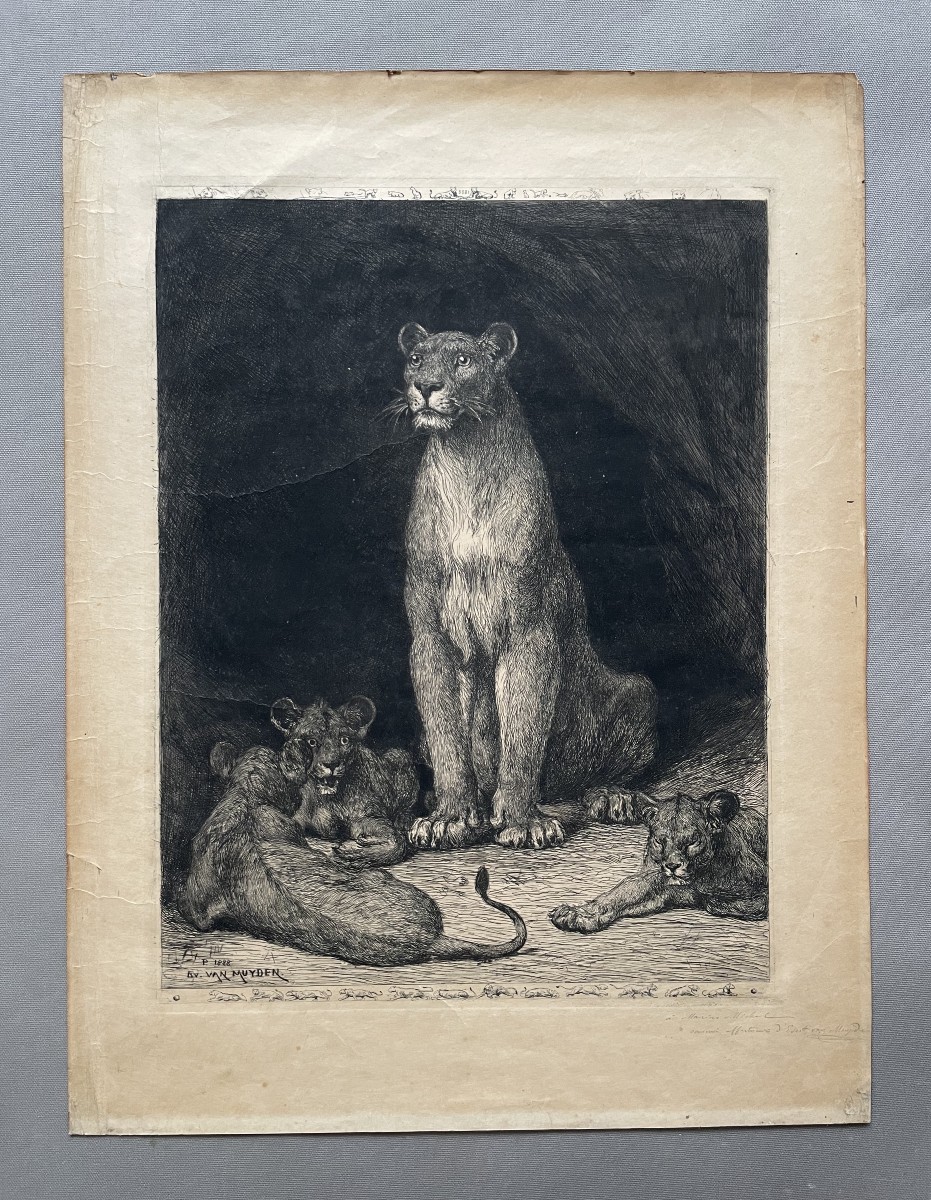 Evert Van Muyden, Lioness With Three Cubs, Signed And Dedicated Engraving