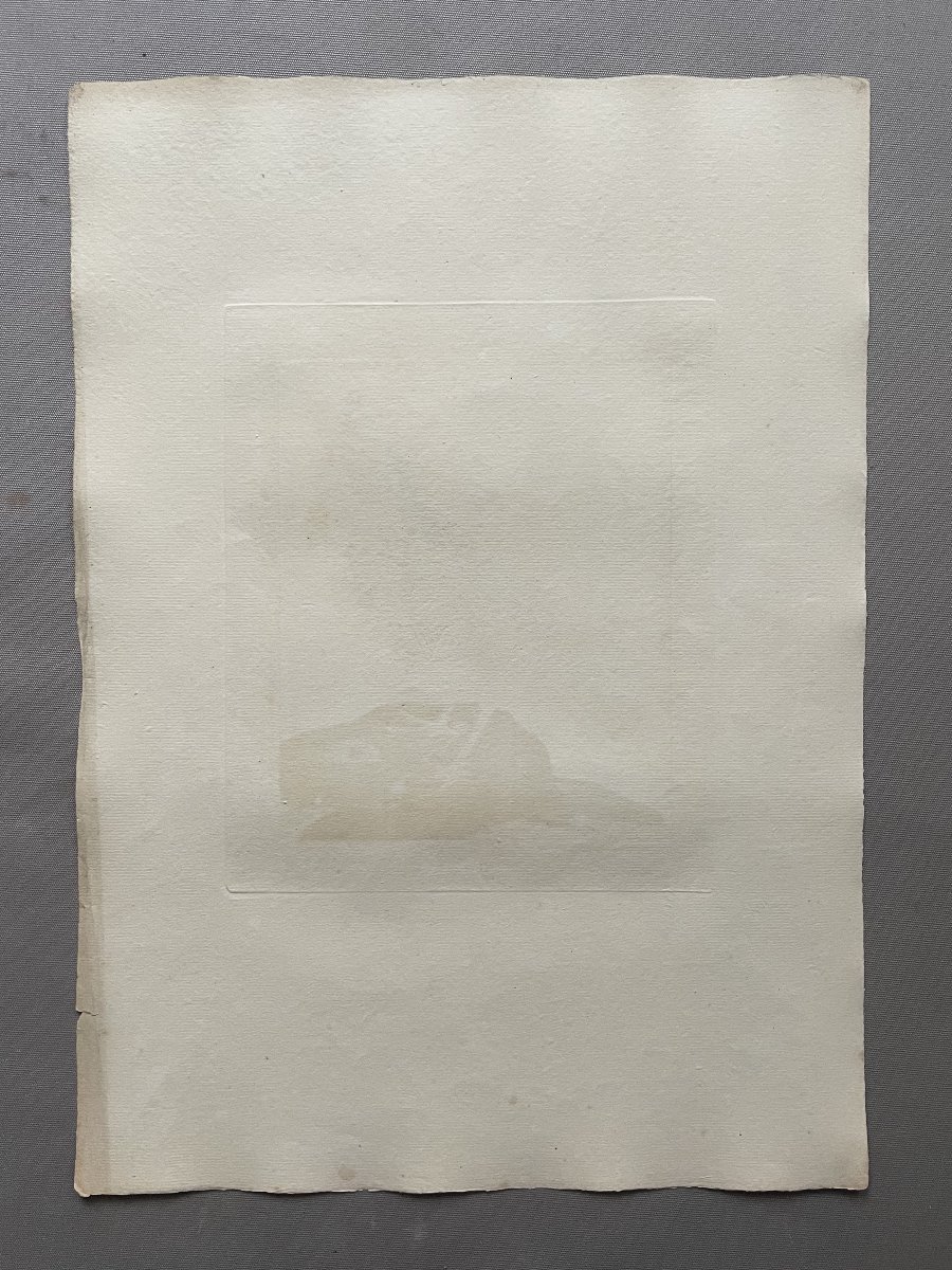 Female Francolin, Engraving By Martinet, Vintage Print-photo-4