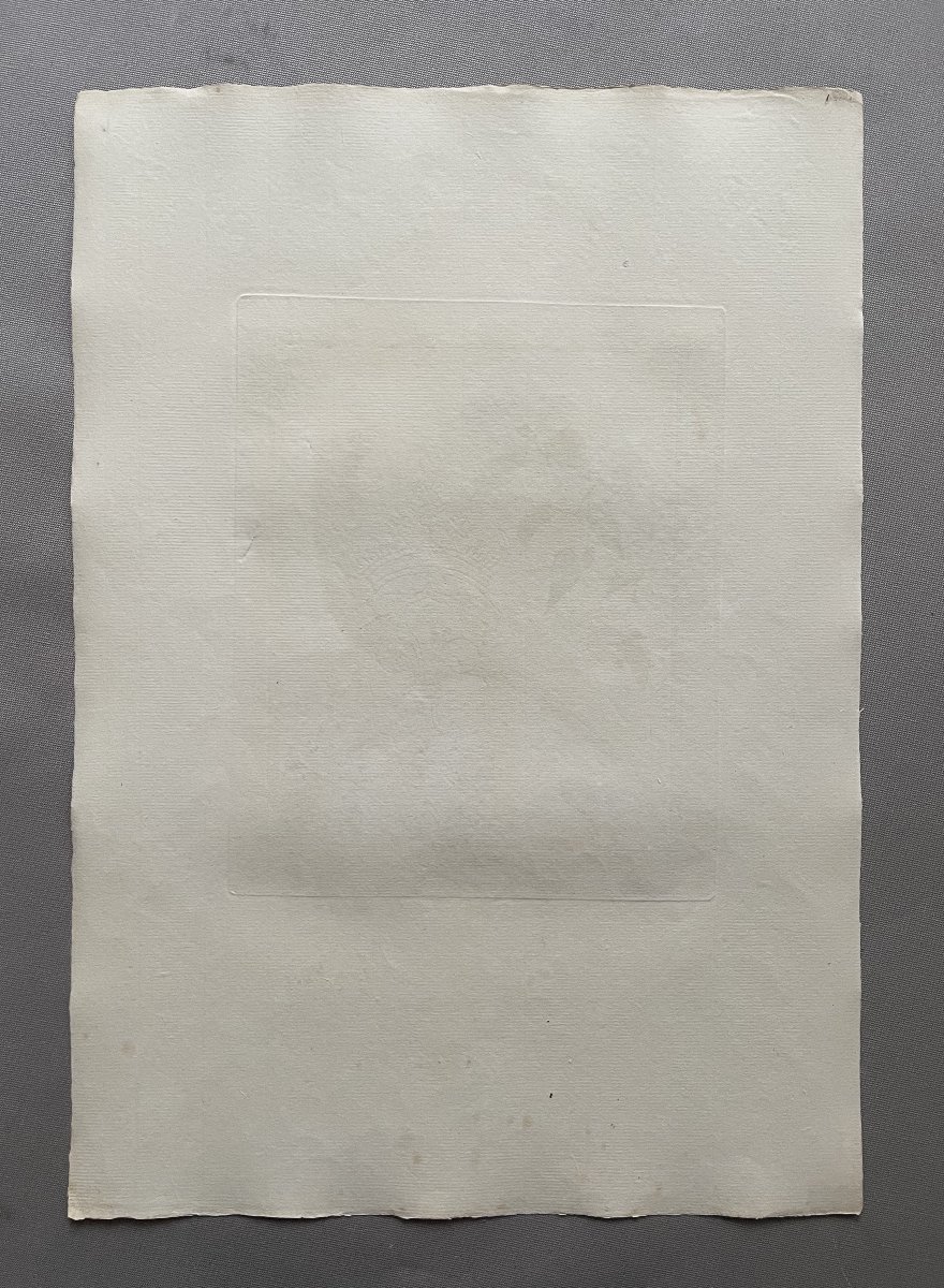 Faisan de la Guiane, gravure par Martinet, tirage d'époque-photo-4