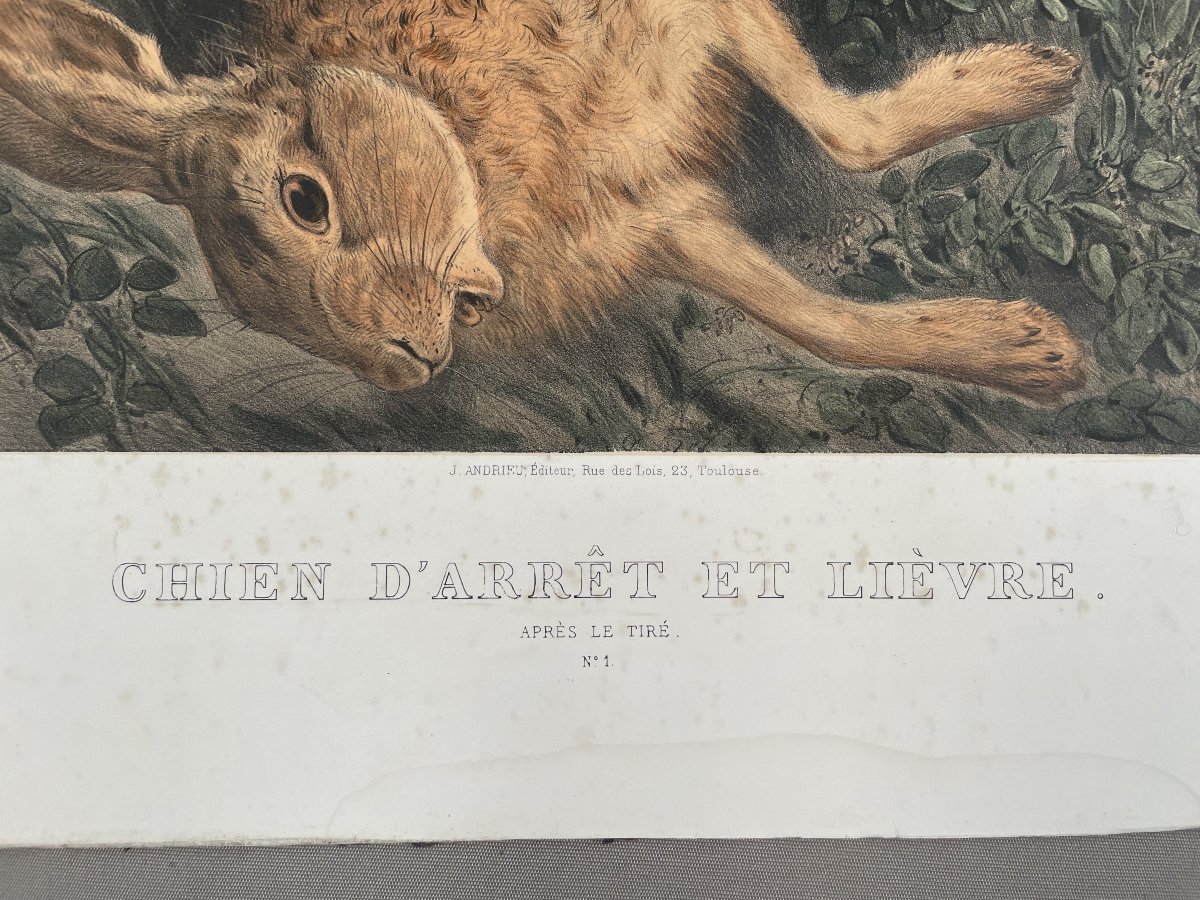 Pointing Dog And Hare, Lithograph-photo-2