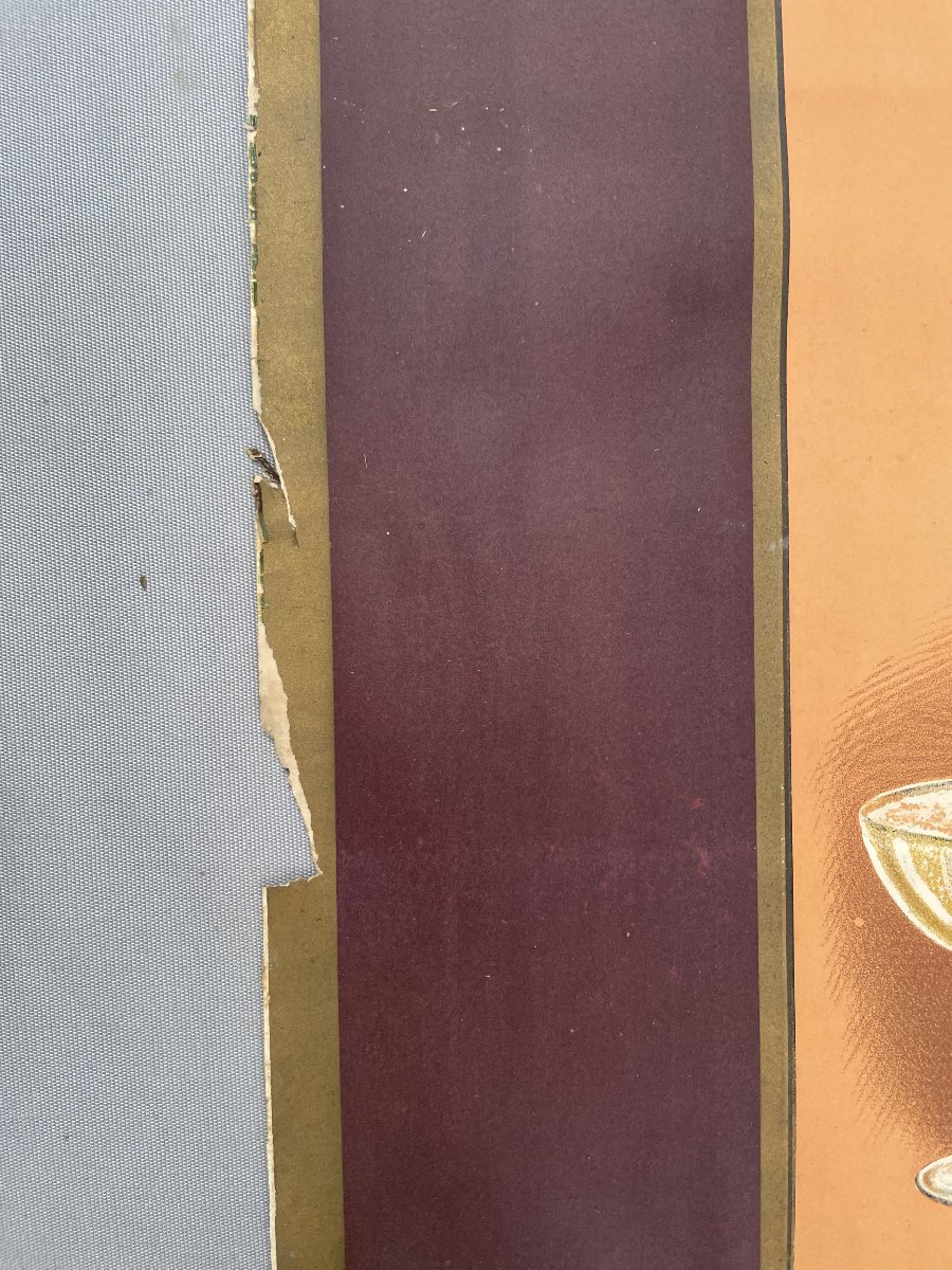 Royal Ackerman-laurance Poster, Saumur-photo-2