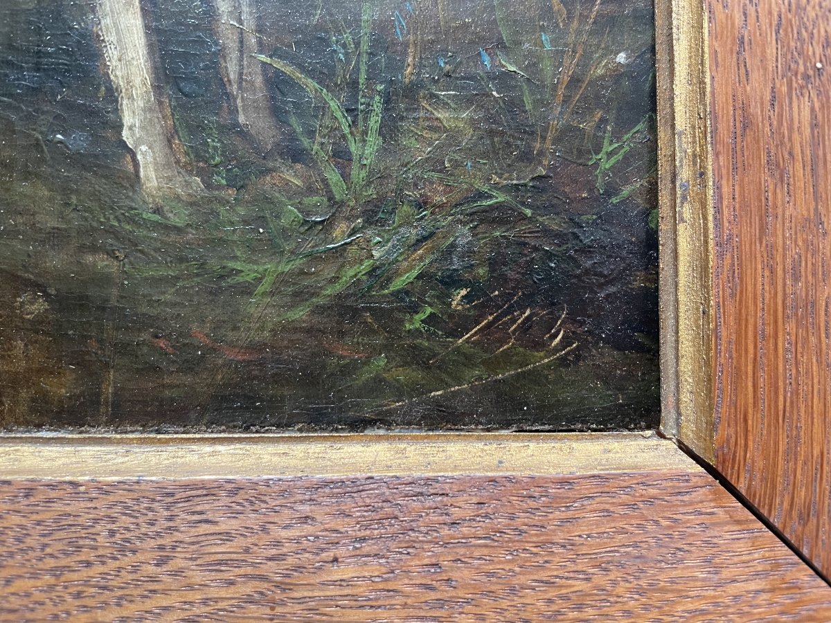 Hunting Dog, Oil On Canvas, Monogram To Be Identified-photo-3