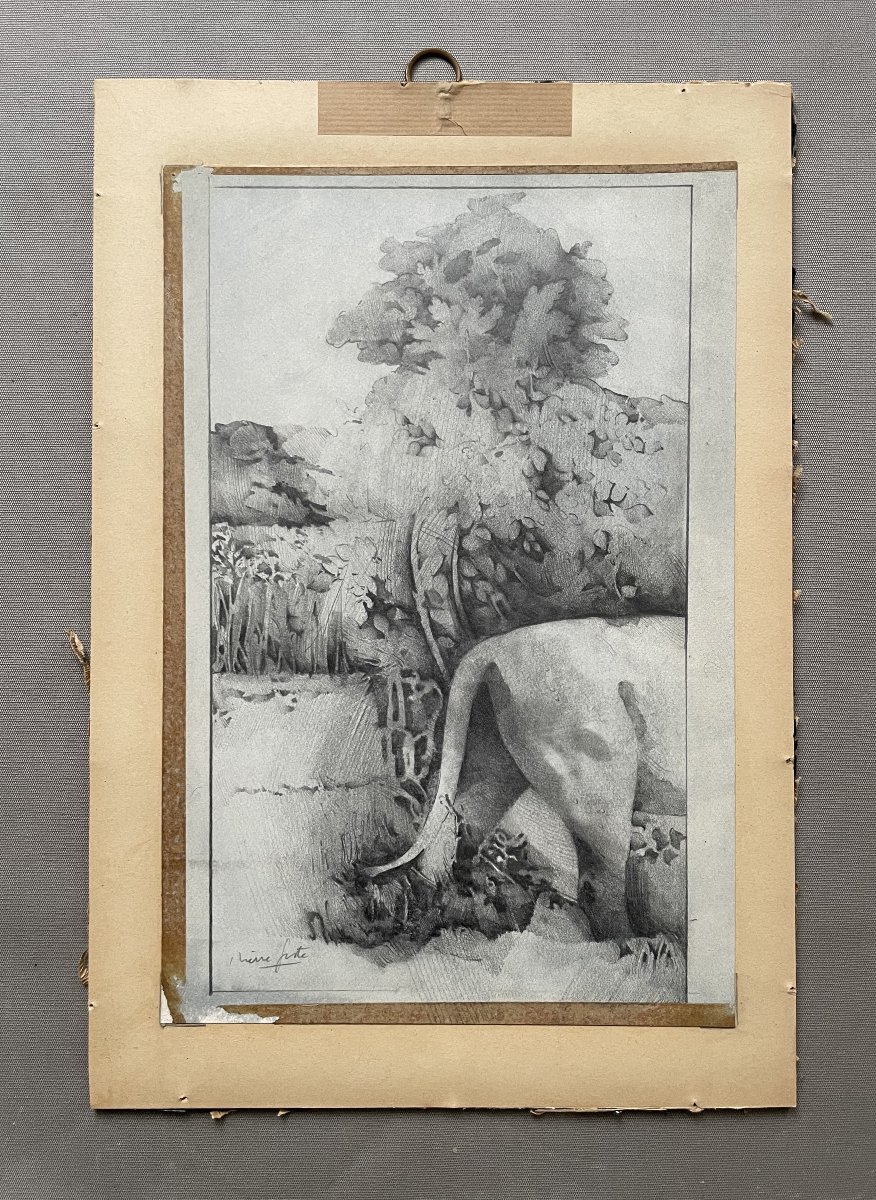 Félin, dessin à la mine de plomb, signature à identifier-photo-2