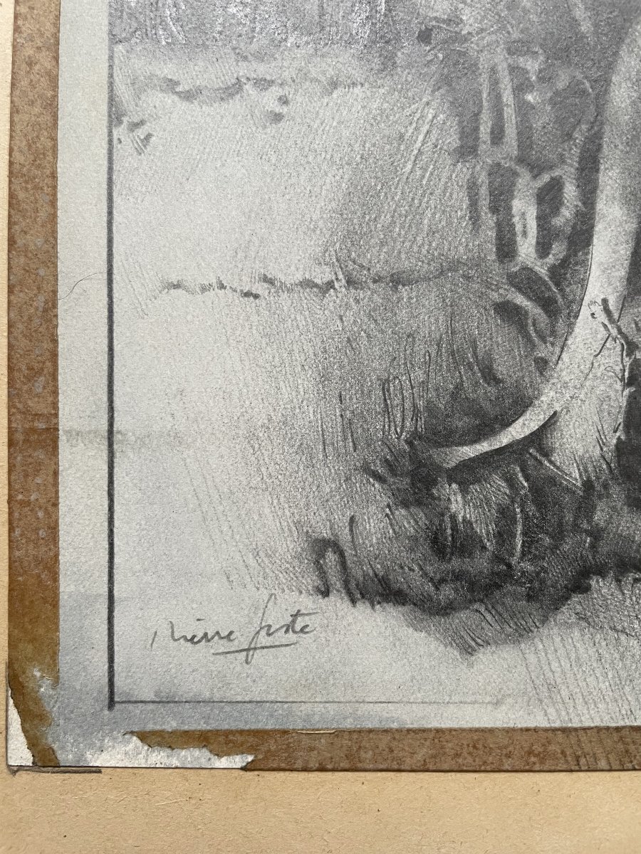 Félin, dessin à la mine de plomb, signature à identifier-photo-3