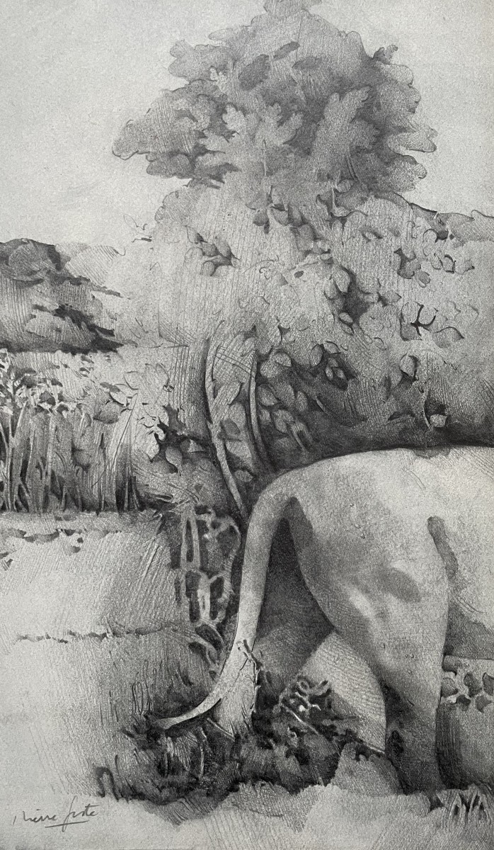 Félin, dessin à la mine de plomb, signature à identifier