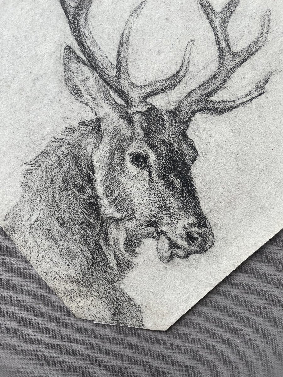 Cerf, dessin à la pierre noire-photo-2