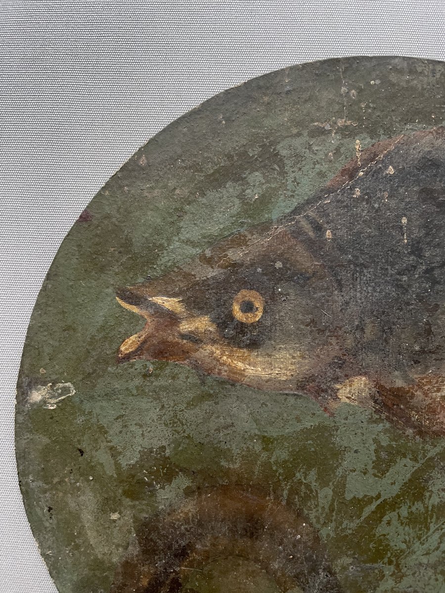 Poissons, huile sur carton, début XXe-photo-2