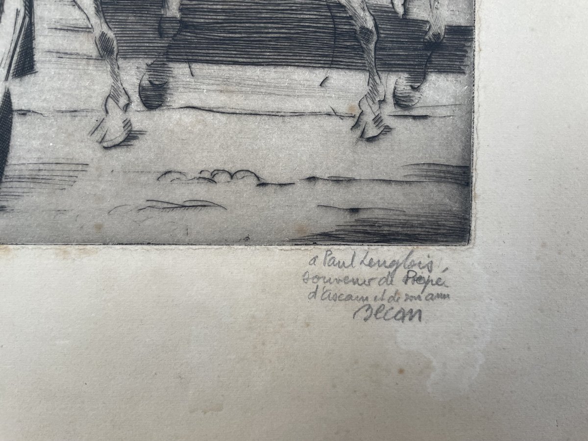 Bernard Bécan, Basque Farmer-photo-3