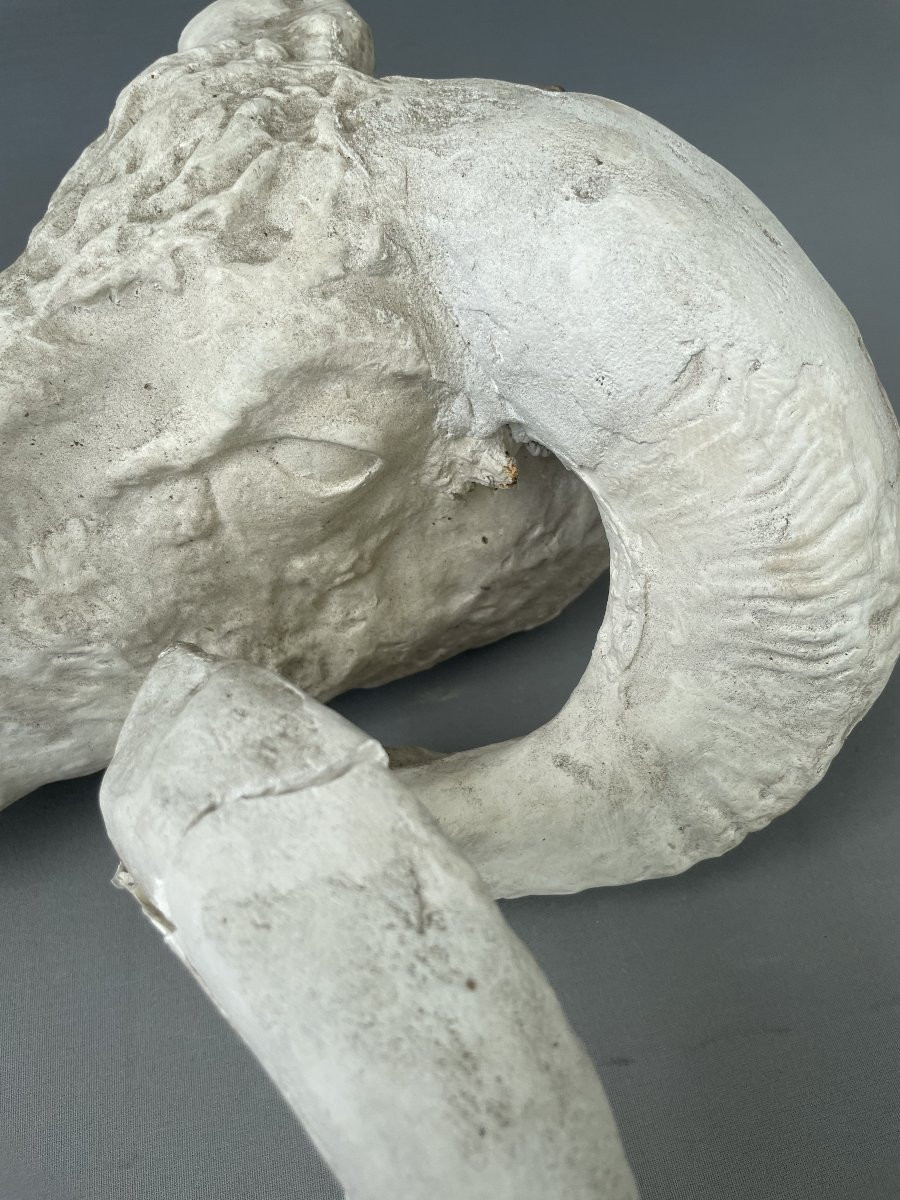 Plaster Ram Head-photo-3