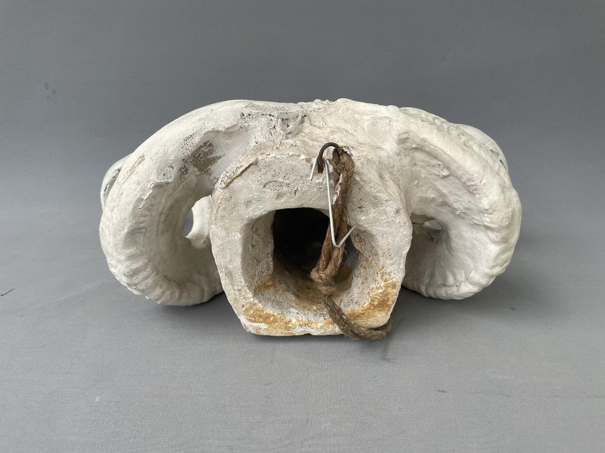 Plaster Ram Head-photo-4