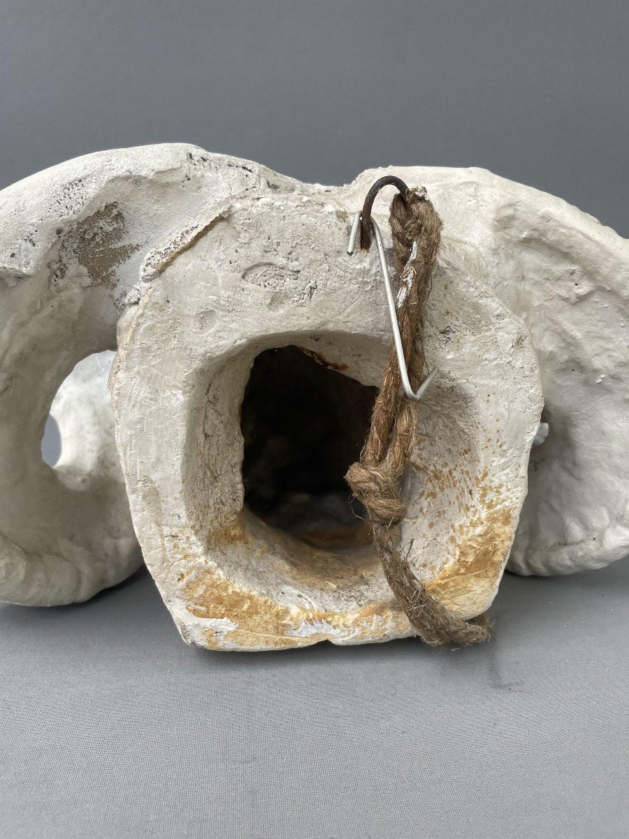 Plaster Ram Head-photo-5