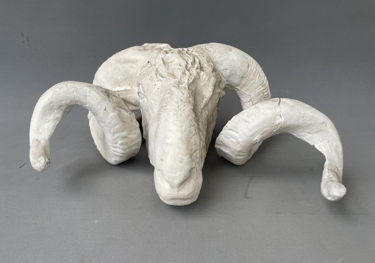 Plaster Ram Head