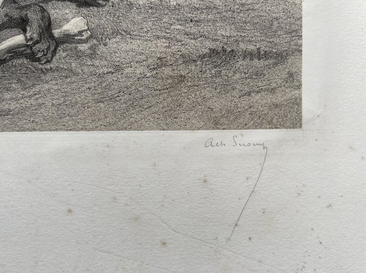 Lion Pack, Engraving-photo-3