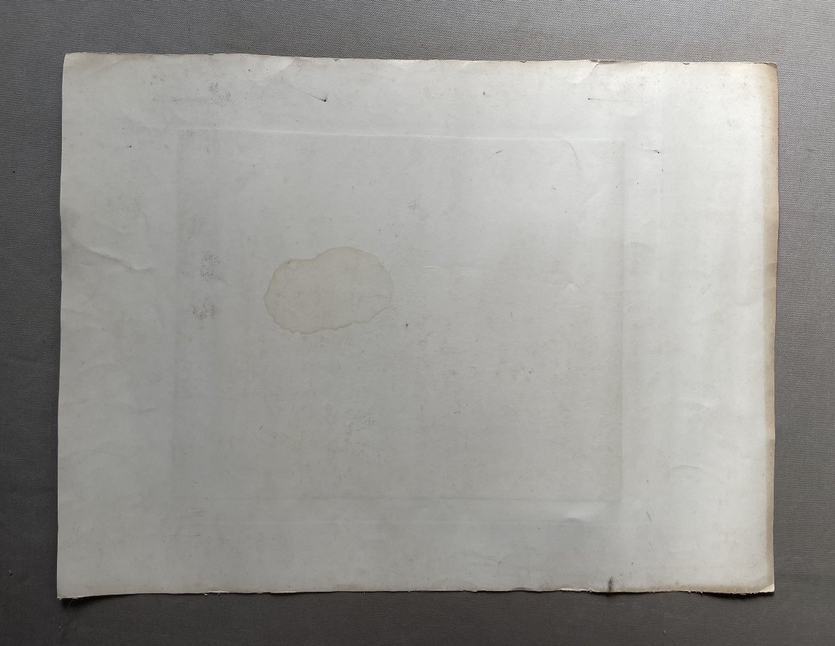 Tête de guépard, gravure signée et dédicacée-photo-4