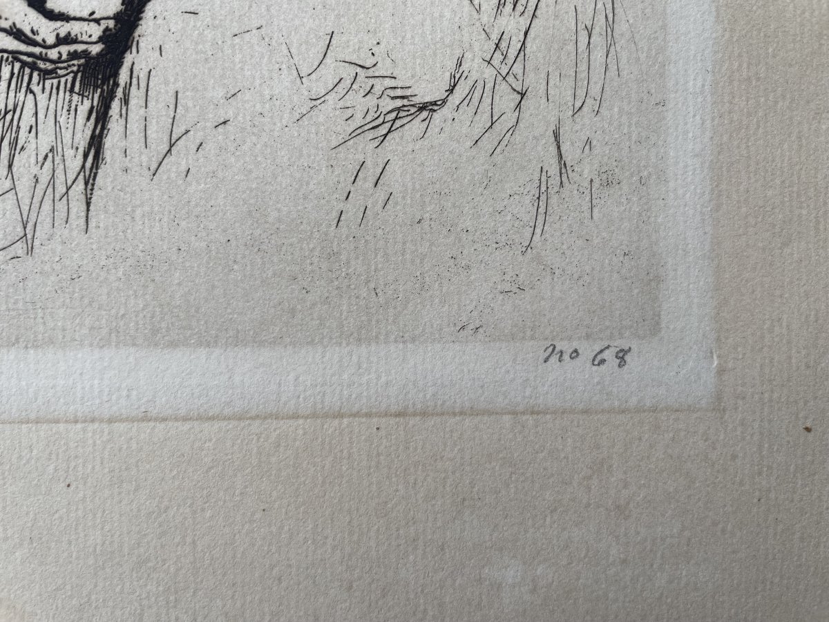 Théodule Ribot, portrait de vieil homme, gravure -photo-3