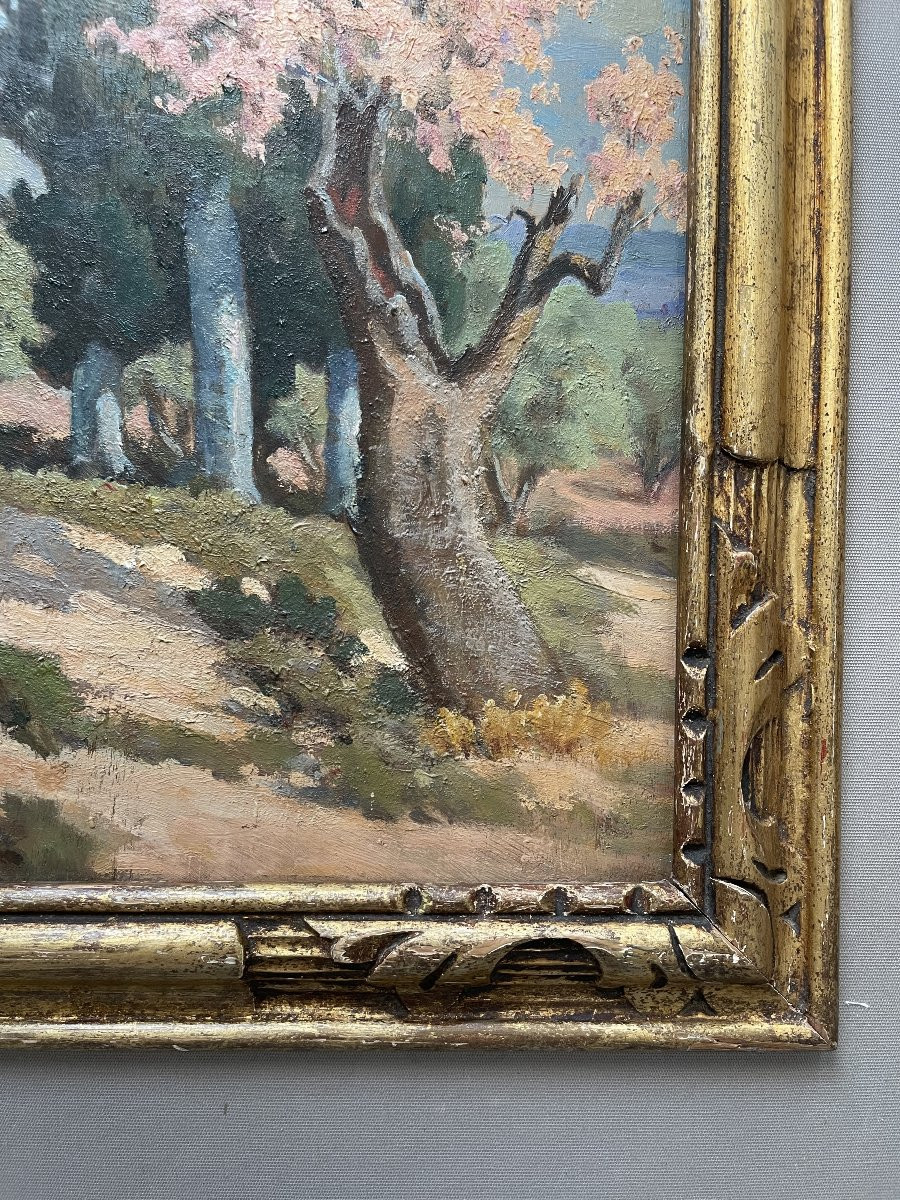 Paysage de Provence, signature à identifier-photo-1