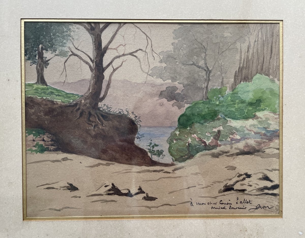 Deux aquarelles dans un même encadrement-photo-3